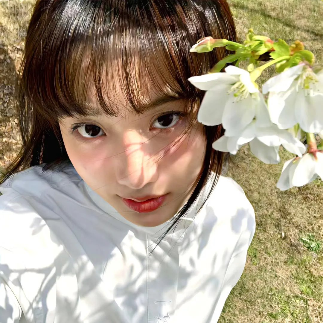 英伦魔法师：鲍华与柏斯保格